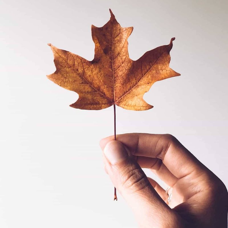 Person holding a fall lead.