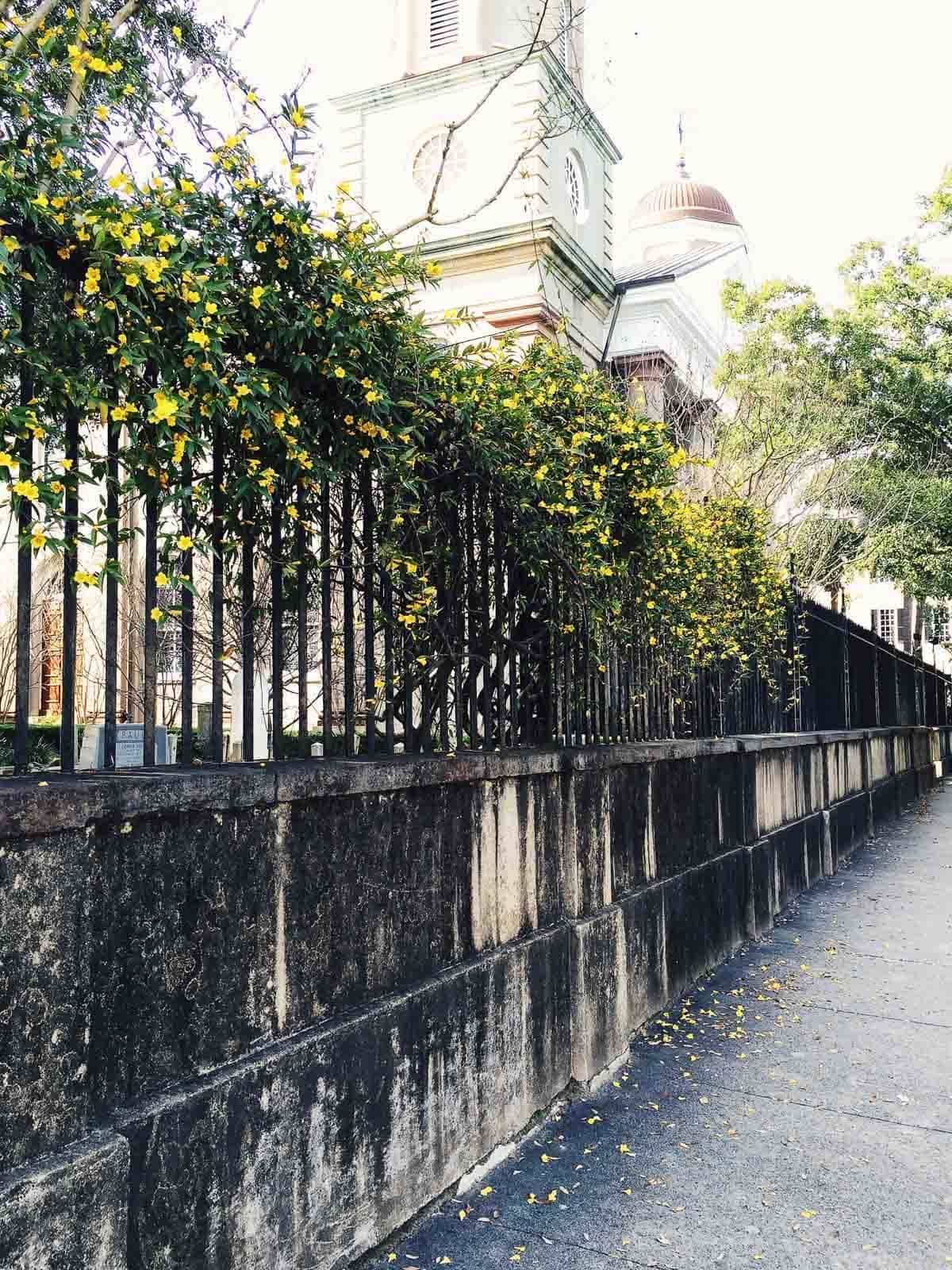 Sidewalk in North Carolina.